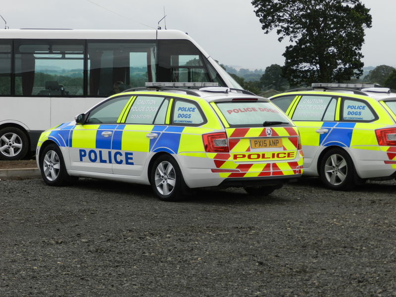 Illustration for article titled Our plod got a new motor.
